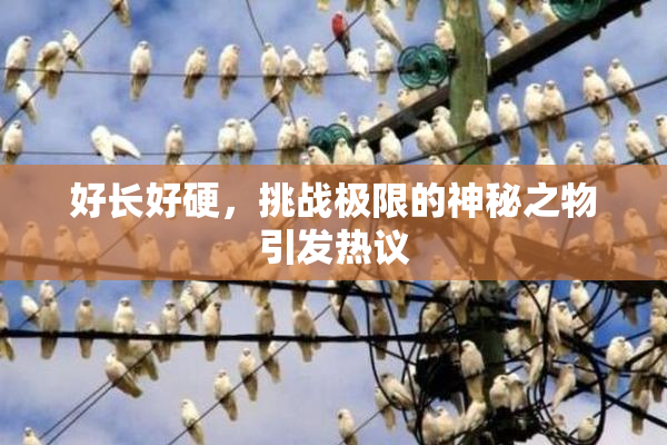 好长好硬，挑战极限的神秘之物引发热议