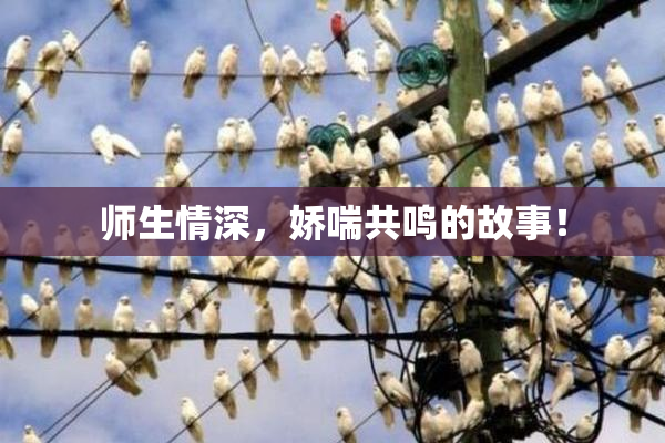 师生情深，娇喘共鸣的故事！