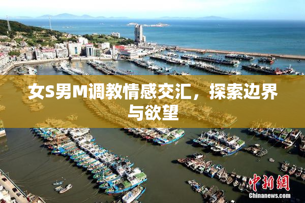 女S男M调教情感交汇，探索边界与欲望