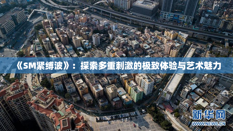 《SM紧缚波》：探索多重刺激的极致体验与艺术魅力