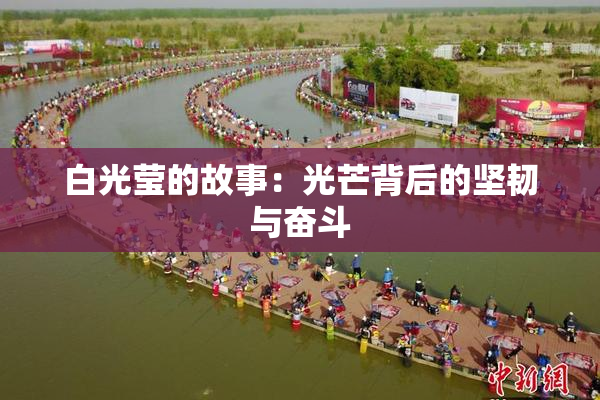 白光莹的故事：光芒背后的坚韧与奋斗
