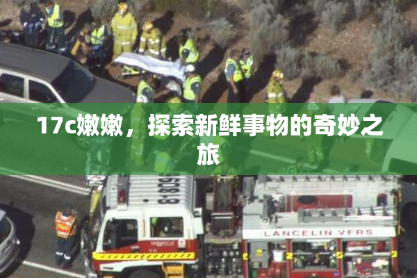 17c嫩嫩，探索新鲜事物的奇妙之旅