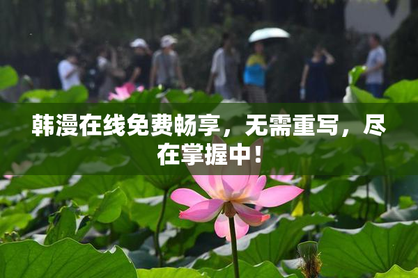 韩漫在线免费畅享，无需重写，尽在掌握中！