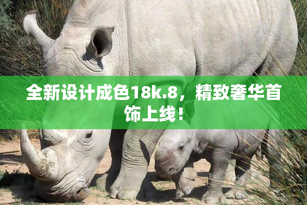 全新设计成色18k.8，精致奢华首饰上线！