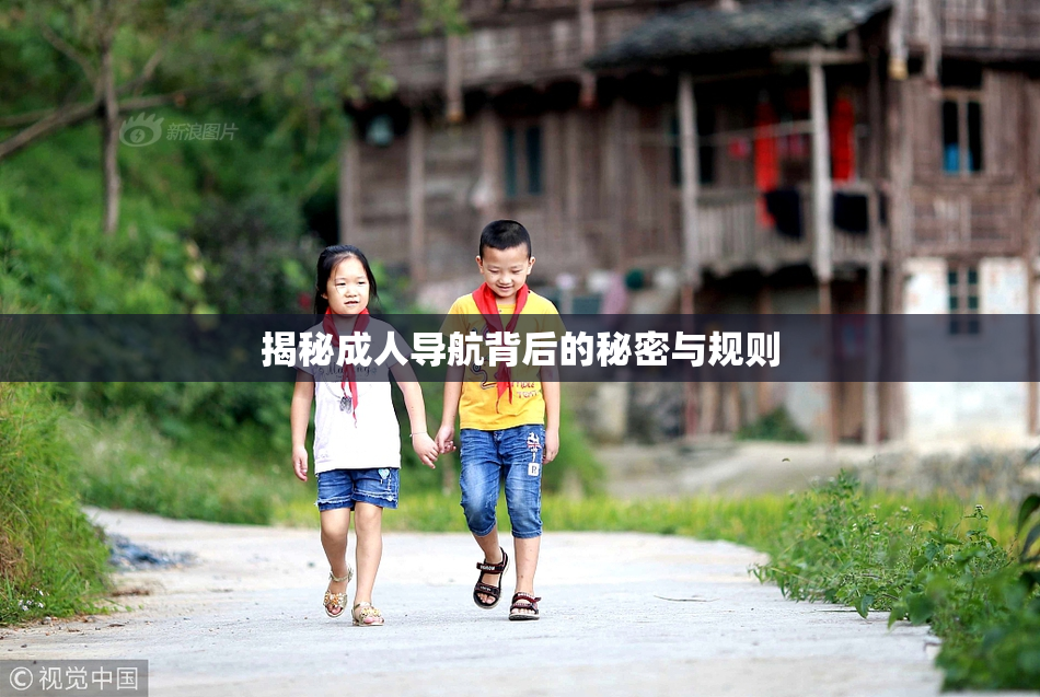 揭秘成人导航背后的秘密与规则