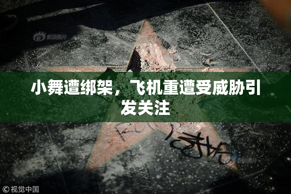 小舞遭绑架，飞机重遭受威胁引发关注