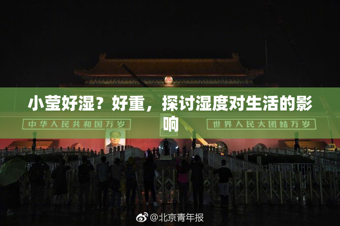 小莹好湿？好重，探讨湿度对生活的影响