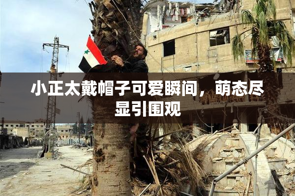 小正太戴帽子可爱瞬间，萌态尽显引围观
