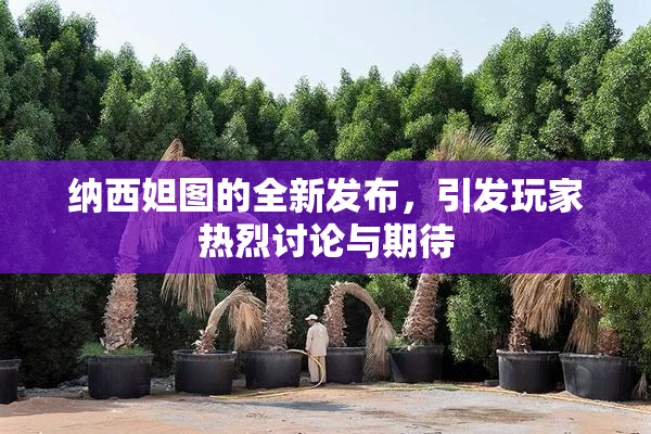 纳西妲图的全新发布，引发玩家热烈讨论与期待