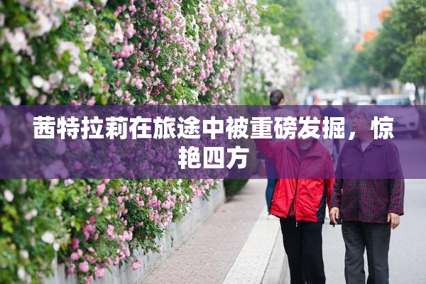 茜特拉莉在旅途中被重磅发掘，惊艳四方