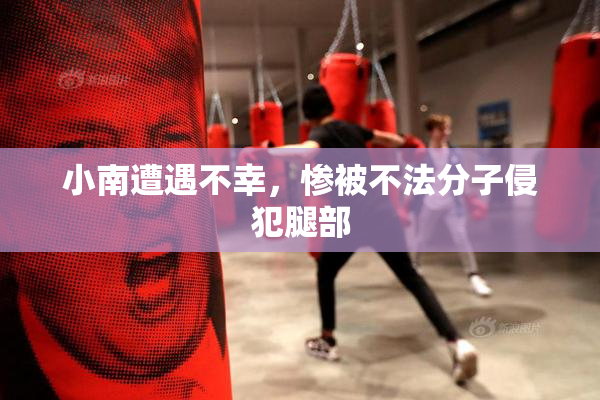 小南遭遇不幸，惨被不法分子侵犯腿部