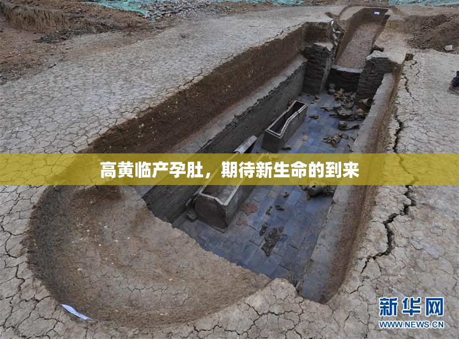 高黄临产孕肚，期待新生命的到来