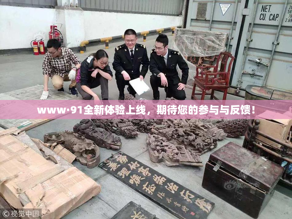 www·91全新体验上线，期待您的参与与反馈！