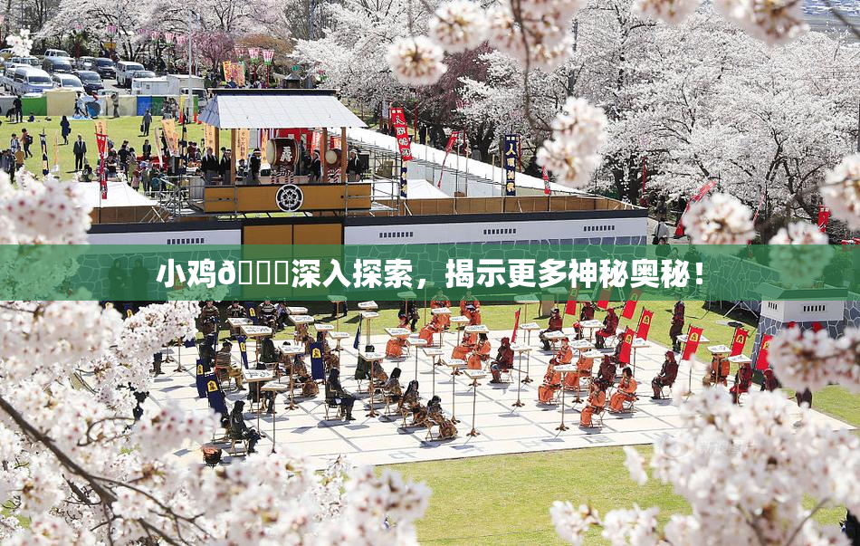小鸡🐔深入探索，揭示更多神秘奥秘！
