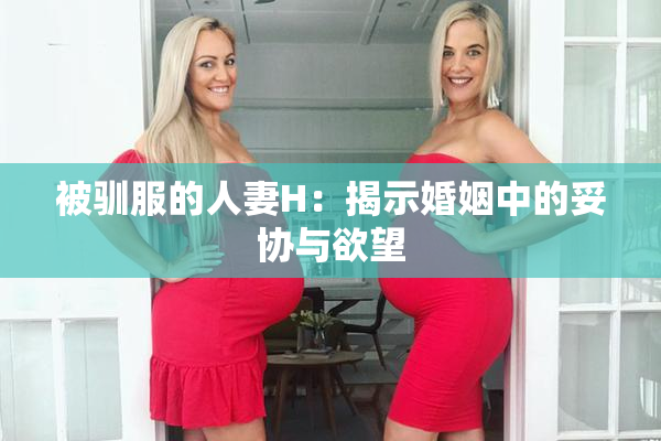 被驯服的人妻H：揭示婚姻中的妥协与欲望