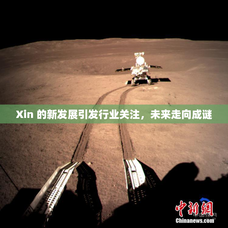 Xin 的新发展引发行业关注，未来走向成谜