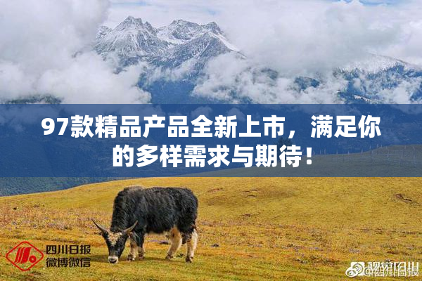 97款精品产品全新上市，满足你的多样需求与期待！
