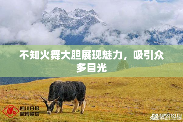 不知火舞大胆展现魅力，吸引众多目光