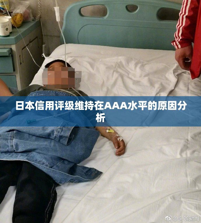 日本信用评级维持在AAA水平的原因分析
