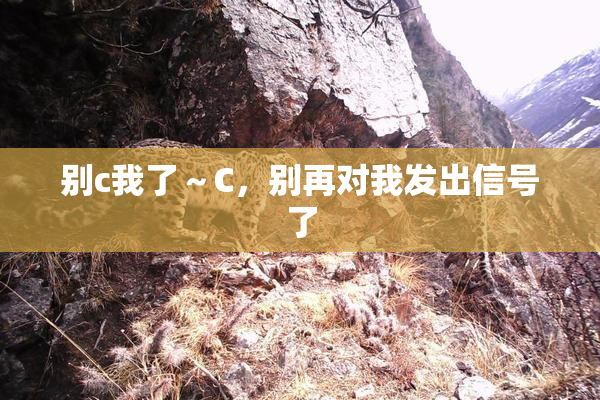 别c我了～C，别再对我发出信号了