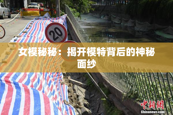 女模秘秘：揭开模特背后的神秘面纱