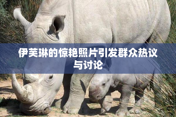 伊芙琳的惊艳照片引发群众热议与讨论