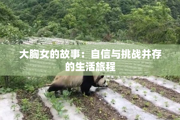 大胸女的故事：自信与挑战并存的生活旅程