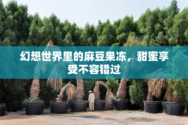幻想世界里的麻豆果冻，甜蜜享受不容错过