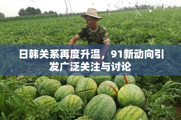 日韩关系再度升温，91新动向引发广泛关注与讨论