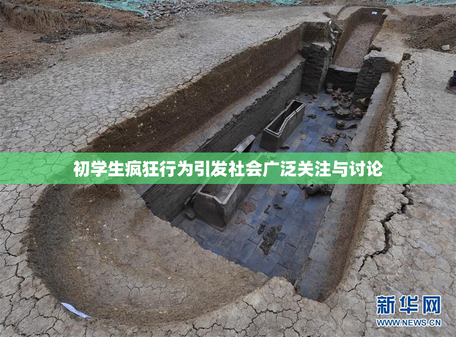初学生疯狂行为引发社会广泛关注与讨论