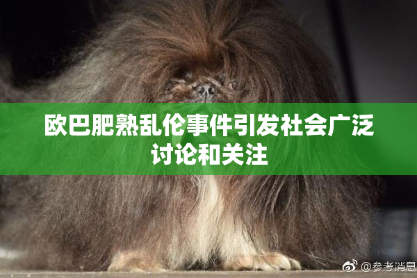 欧巴肥熟乱伦事件引发社会广泛讨论和关注