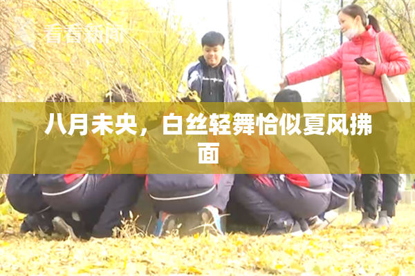 八月未央，白丝轻舞恰似夏风拂面