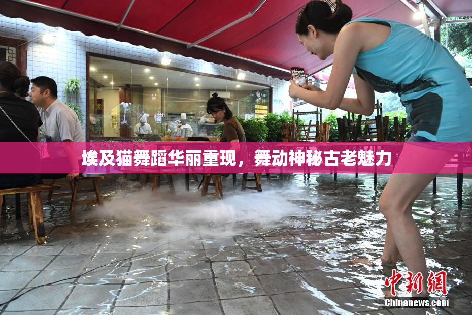 埃及猫舞蹈华丽重现，舞动神秘古老魅力
