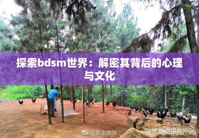 探索bdsm世界：解密其背后的心理与文化