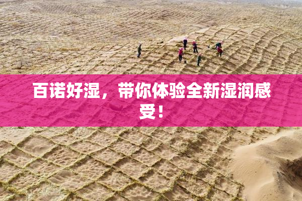 百诺好湿，带你体验全新湿润感受！