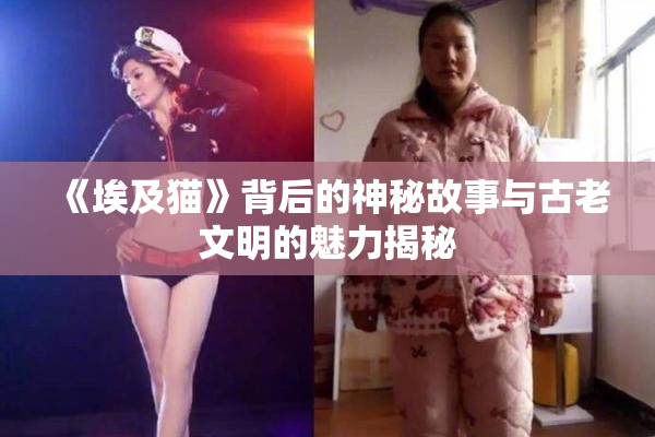 《埃及猫》背后的神秘故事与古老文明的魅力揭秘