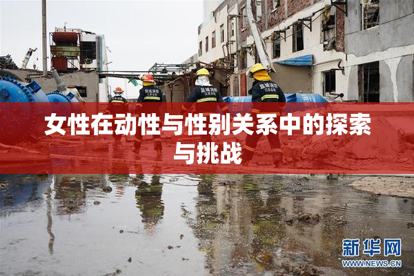 女性在动性与性别关系中的探索与挑战