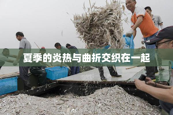 夏季的炎热与曲折交织在一起