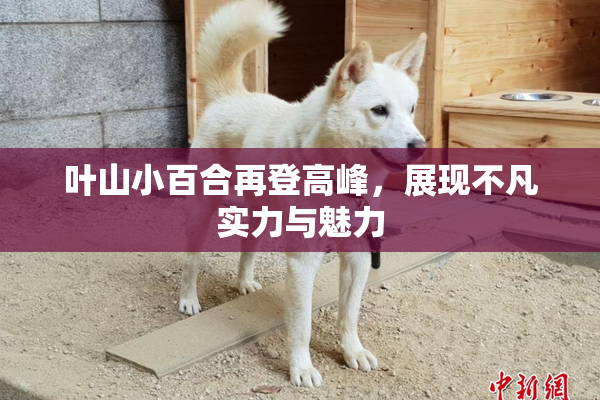叶山小百合再登高峰，展现不凡实力与魅力