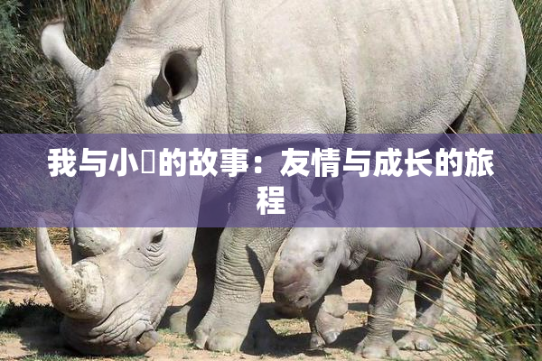 我与小娻的故事：友情与成长的旅程