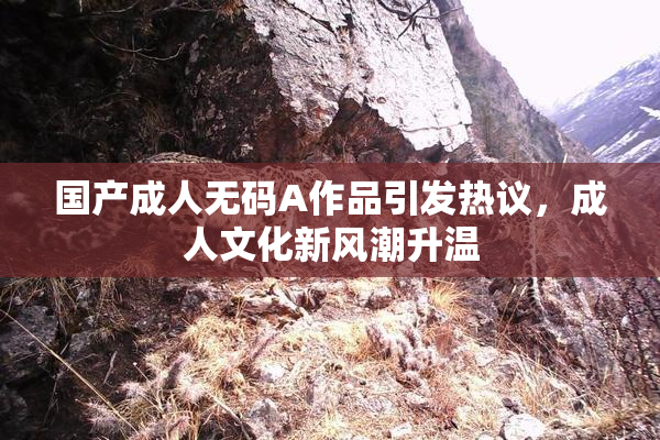 国产成人无码A作品引发热议，成人文化新风潮升温