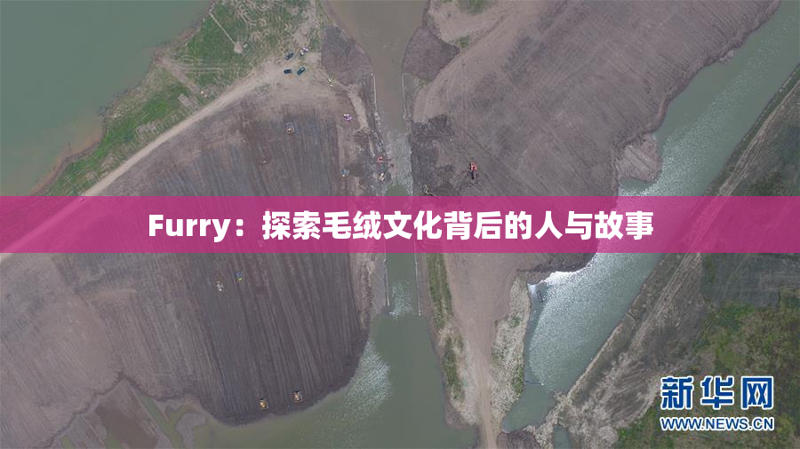 Furry：探索毛绒文化背后的人与故事