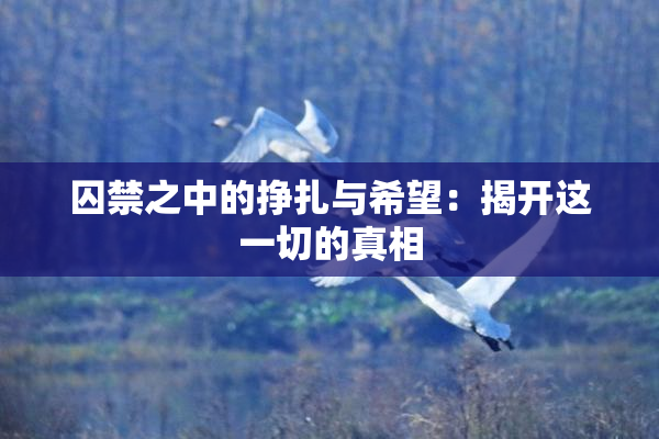 囚禁之中的挣扎与希望：揭开这一切的真相