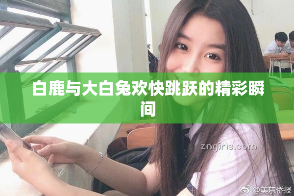 白鹿与大白兔欢快跳跃的精彩瞬间