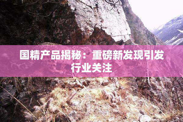国精产品揭秘：重磅新发现引发行业关注