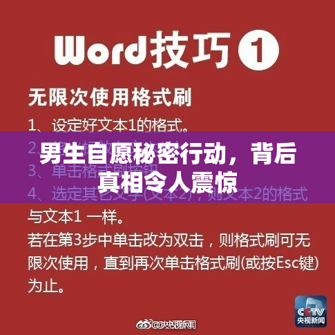 男生自愿秘密行动，背后真相令人震惊