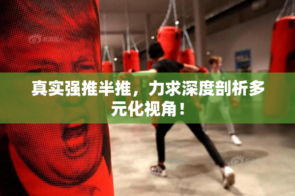 真实强推半推，力求深度剖析多元化视角！