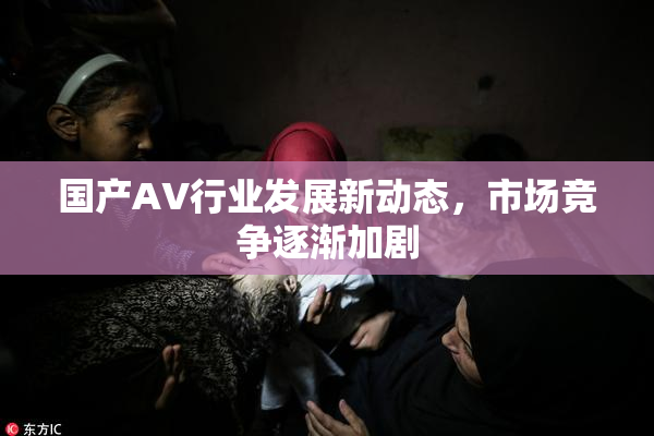 国产AV行业发展新动态，市场竞争逐渐加剧