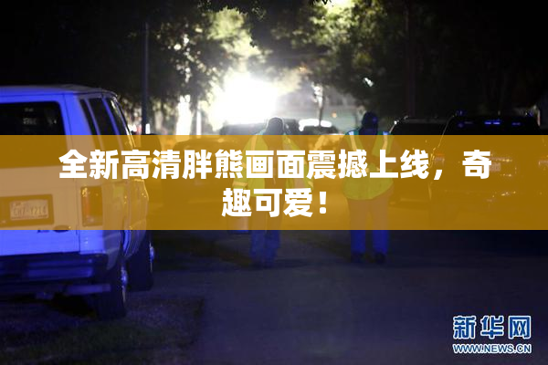 全新高清胖熊画面震撼上线，奇趣可爱！