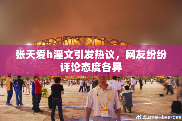 张天爱h淫文引发热议，网友纷纷评论态度各异